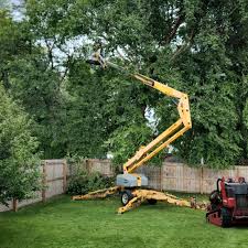 How Our Tree Care Process Works  in  Mcmurray, PA