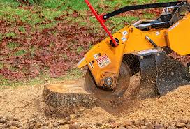 Best Firewood Processing and Delivery  in Mcmurray, PA